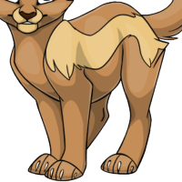 Skunk Body male mutation of Catus