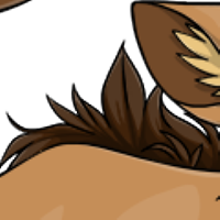 Backfur female mutation of Catus