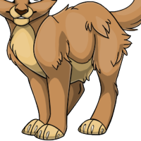 Fluffy Body male mutation of undefined