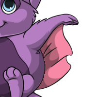 Flying Squirrel Wings male mutation of undefined