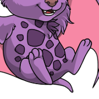 Spotted Body female mutation of Chiropy