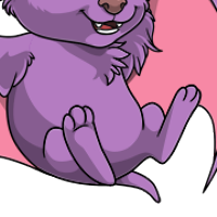 Solid Body female mutation of Chiropy