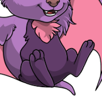 Red Panda Body female mutation of Chiropy