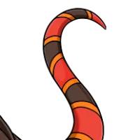Coral Snake Tail male mutation of Draconis