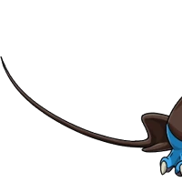 Manta Ray Tail female mutation of undefined