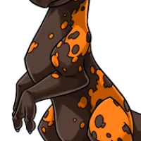 Blanket Appaloosa Body male mutation of Draconis