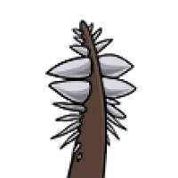 Spiky Tail female mutation of Draconis