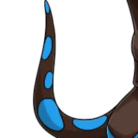 Blotchy Tail female mutation of Draconis