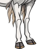 Kirin Legs female mutation of undefined