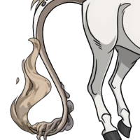 Kirin Tail female mutation of undefined