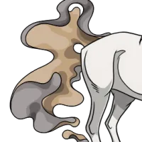 Mist Tail female mutation of undefined