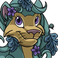 Watermelon Mane female mutation of undefined