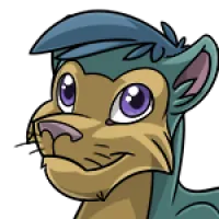 Mane Tuft male mutation of Feline