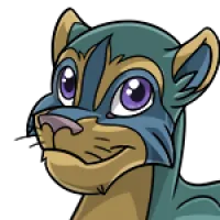 Raccoon Head male mutation of Feline