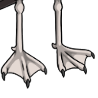 Seagull Legs female mutation of undefined