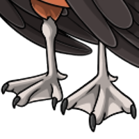 Seagull Legs male mutation of undefined