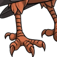 Solid Crow Legs female mutation of undefined