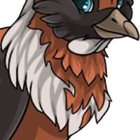 Hooded Crow Neck female mutation of undefined