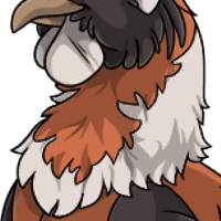 Hooded Crow Neck male mutation of undefined