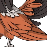 Hooded Crow Wings male mutation of undefined