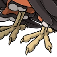 Fungi Legs male mutation of undefined