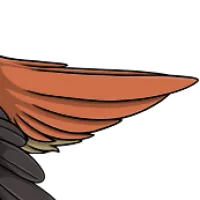 Puffin Tail male mutation of undefined