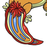 Sea Slug Tail female mutation of undefined