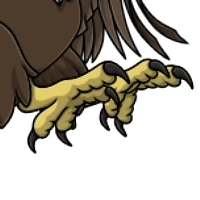 Macaw Feet female mutation of undefined