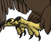 Macaw Feet male mutation of undefined