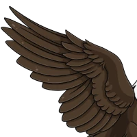 Solid Macaw Wings female mutation of undefined