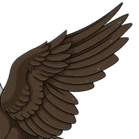 Solid Macaw Wings male mutation of undefined
