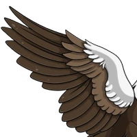 Macaw Wings female mutation of undefined