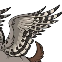 Snowy Owl Wings male mutation of undefined