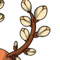 Spring Branch Ears male mutation of Lepus