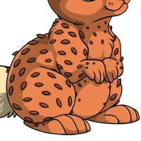 Sea Bunny Body female mutation of undefined