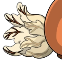 Sea Bunny Tail female mutation of undefined