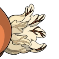 Sea Bunny Tail male mutation of undefined