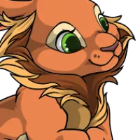 Bicolor Lionhead Fur female mutation of Lepus