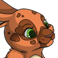 Butterfly Head female mutation of Lepus