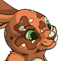 Tricolor Head female mutation of Lepus