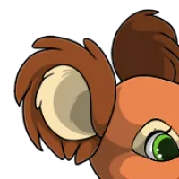 Koala Ears female mutation of Lepus