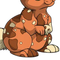 Tricolor Body female mutation of Lepus