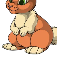 Dutch Body male mutation of Lepus