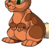 Tan Body male mutation of Lepus