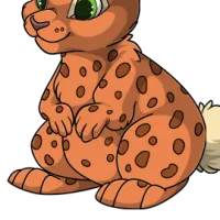 Spotted Body male mutation of Lepus