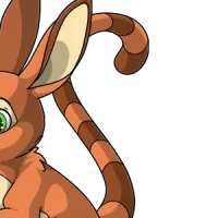 Long Ringtail male mutation of Lepus