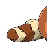 Raccoon Tail female mutation of Lepus