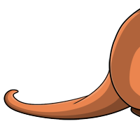 Quokka Tail female mutation of undefined