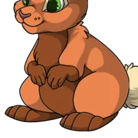 Bicolor Body male mutation of Lepus