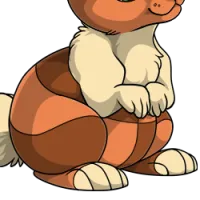 Dutch Harlequin Body female mutation of Lepus